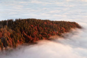 Nebelmeer am Feldberg bei Sonnenaufgang, Schwarzwald, Baden-Württemberg, Deutschland Nebelmeer am Feldberg bei Sonnenaufgang, Schwarzwald, Baden-Württemberg, Deutschland